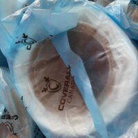 Blue Poly- 100% LDPE Virgin-Grade Masking Poly (24.5mic).